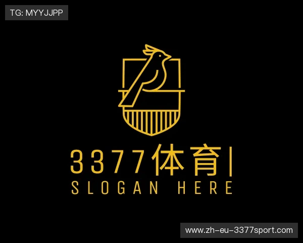 解读3377体育